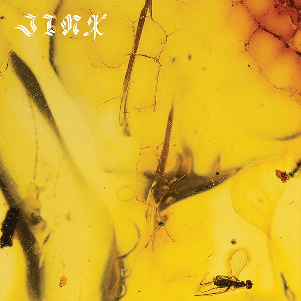 その他 Bpm Dance Presents Jinx the System [CD] Jinx - CD – CRUMBTHEBAND