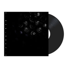 Load image into Gallery viewer, Ice Melt - Standard 12&quot; Vinyl
